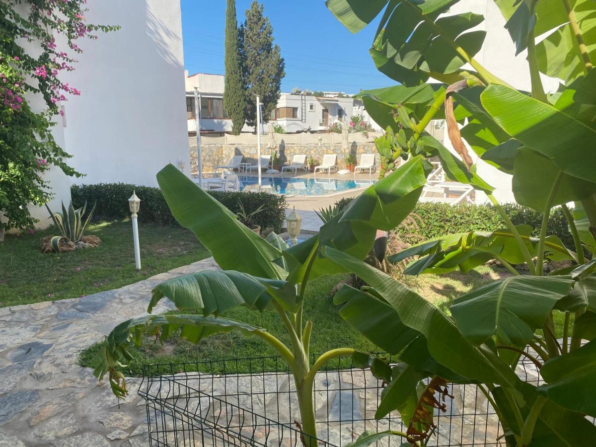Canna Garden Hotel - Adult Only Gümbet Exteriér fotografie