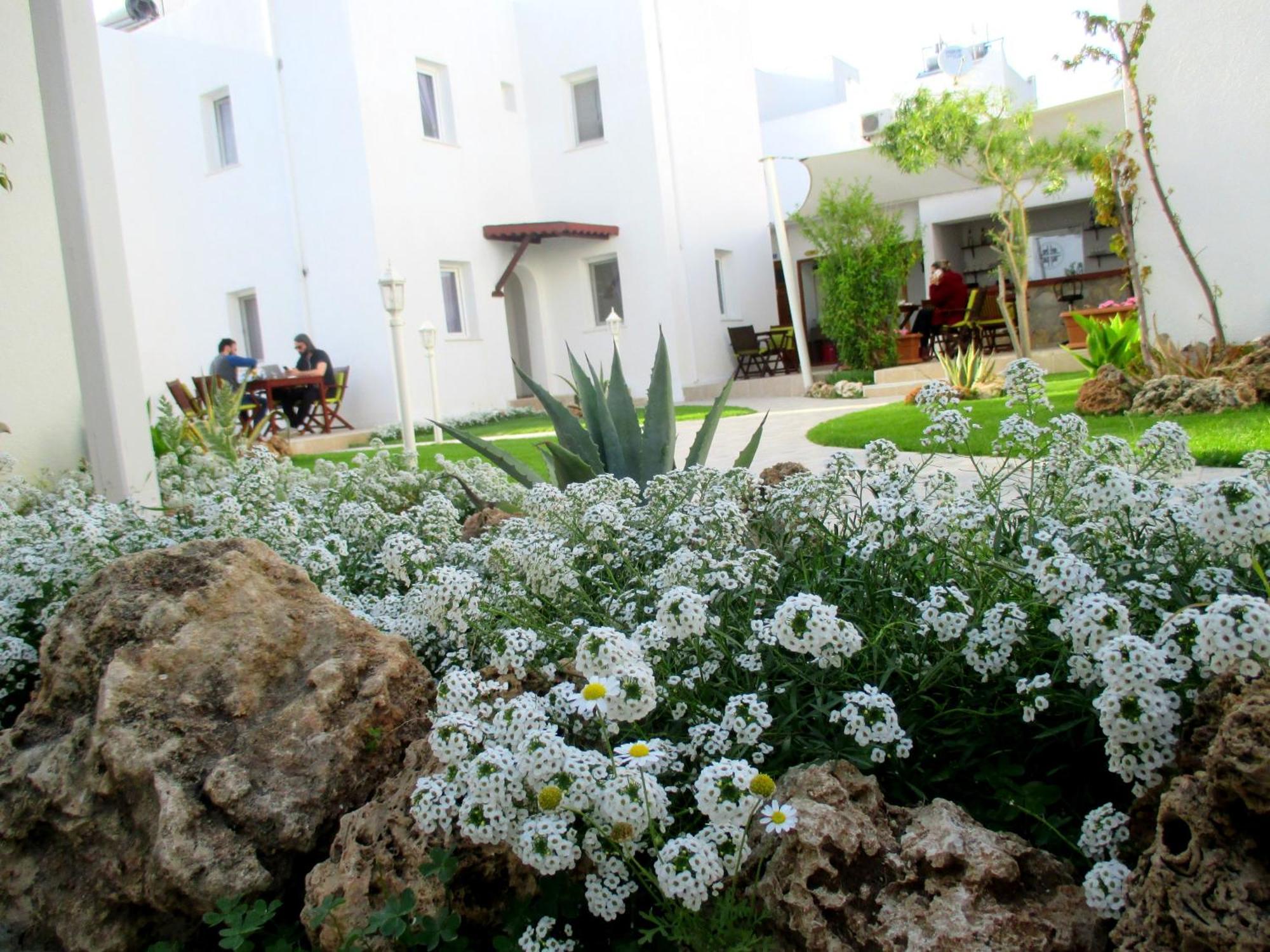 Canna Garden Hotel - Adult Only Gümbet Exteriér fotografie